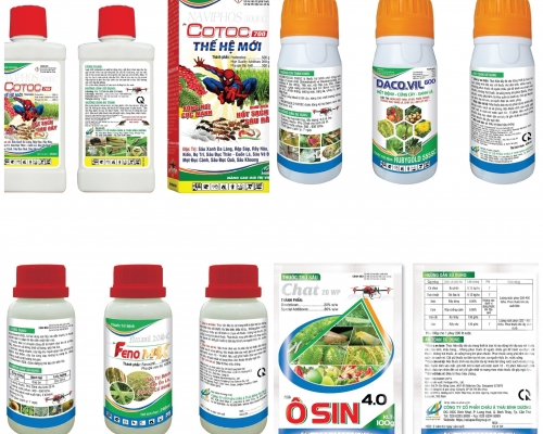 RA MẮT BỘ SẢN PHẨM MỚI