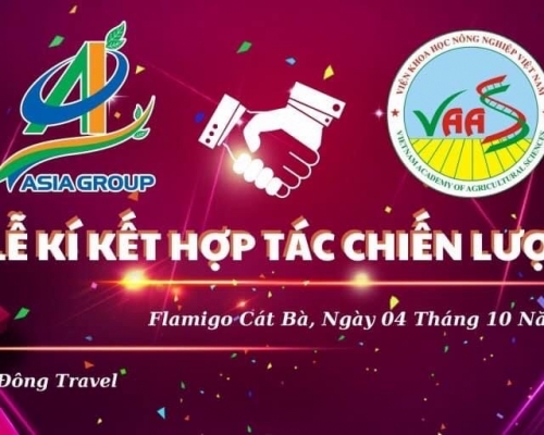 HỢT TÁC & PHÁT TRIỂN