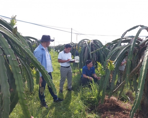 Nghiên cứu phát triển sản phẩm