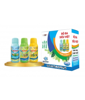 BỘ BA SIÊU VIỆT
