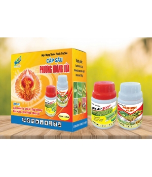 THUỐC TRỪ SÂU CẶP SÂU PHƯỢNG HOÀNG LỬA