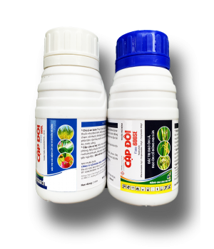 Cặp Đôi 600 SE