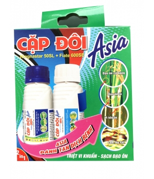 Cặp Đôi Asia