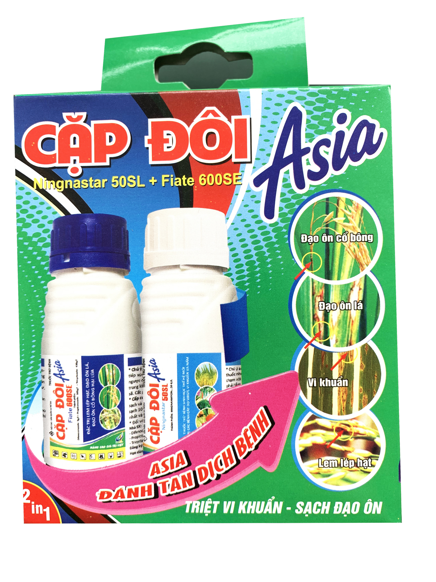 Cặp Đôi Asia